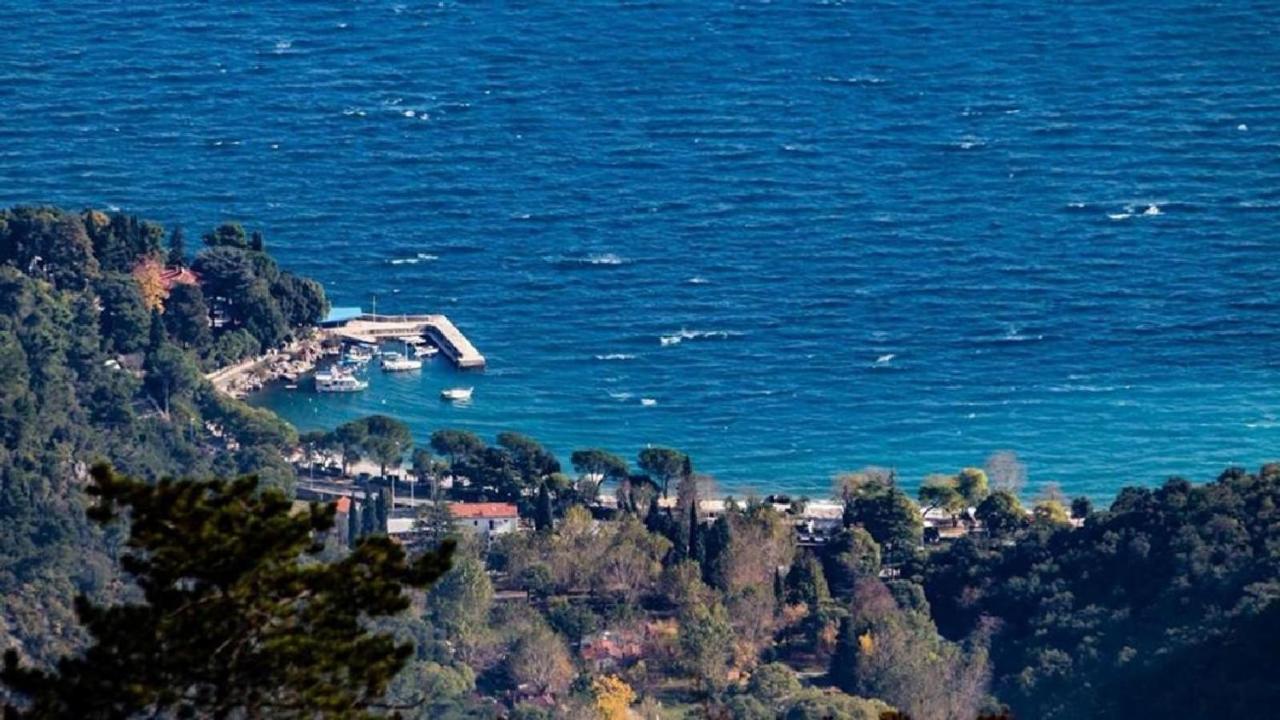 Apartment Zorka ميدفيجا المظهر الخارجي الصورة
